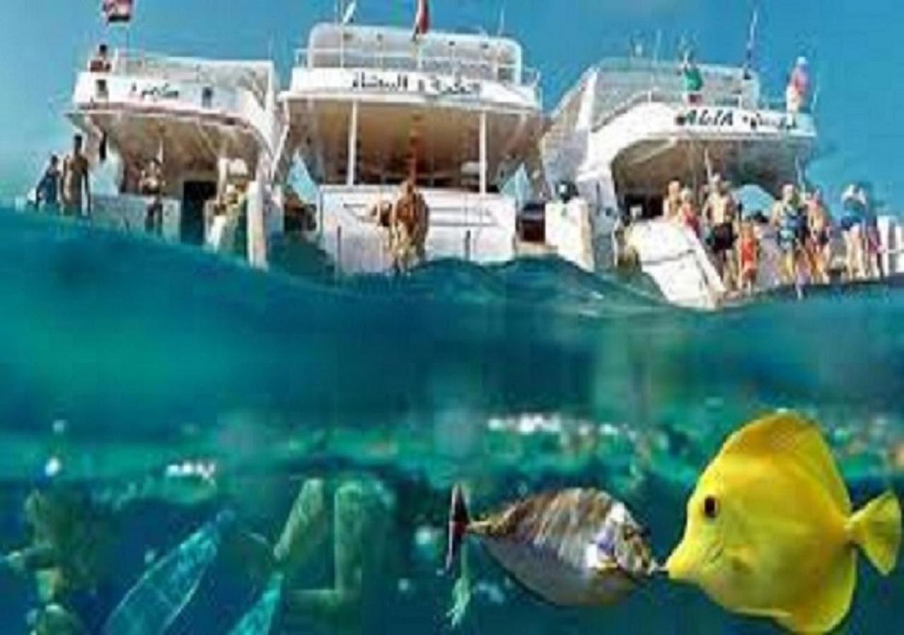 Joynant-Gouna Kite Road-2Room Mangroovy Free Beach Access - Pool View- Hurghada Exterior photo